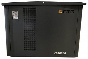 Газовый генератор CTG CG18000SA ДизельЭнергоРесурс